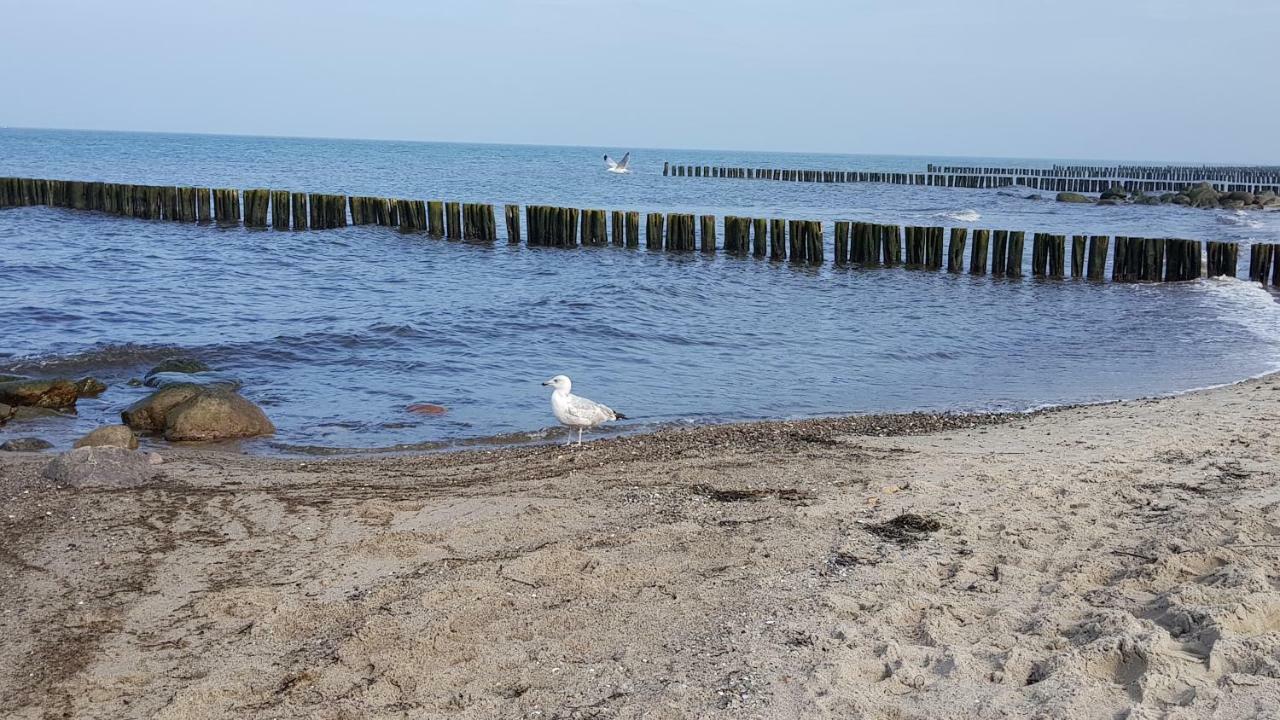 Fewo Valencia Am Rosenhof - 5 Sterne Dtv Ostseebad Kühlungsborn المظهر الخارجي الصورة